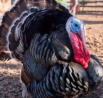 WhatsApp Image 2022-02-09 at 08.38_edited.jpg